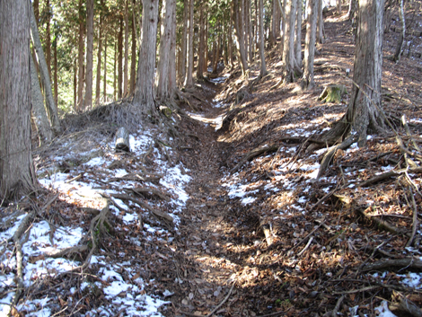 20181214hike (96)